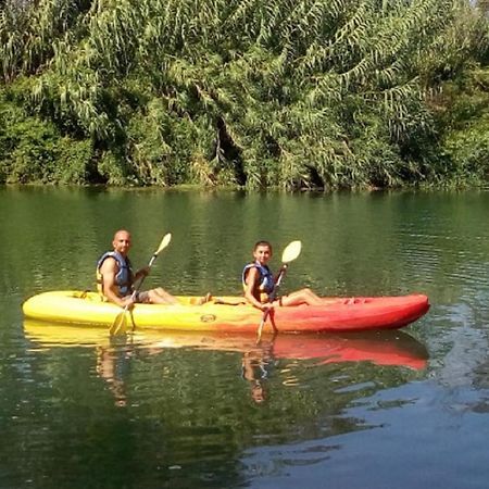 הוילה Montigny-sur-Loing Les Cygnes Au Bord Du Loing מראה חיצוני תמונה