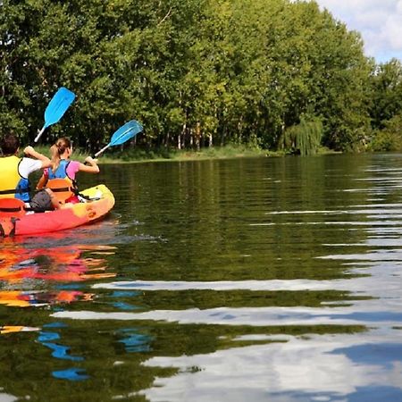 הוילה Montigny-sur-Loing Les Cygnes Au Bord Du Loing מראה חיצוני תמונה