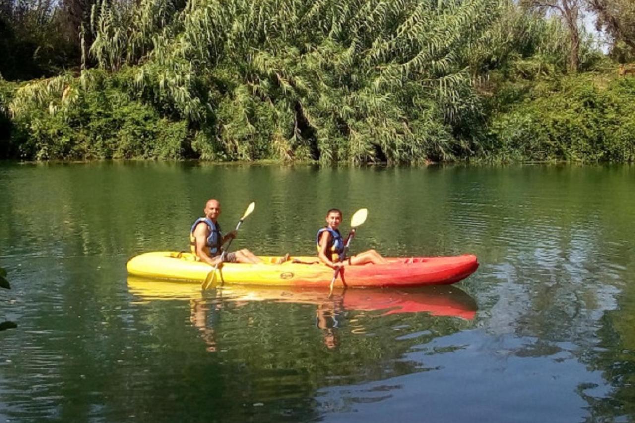 הוילה Montigny-sur-Loing Les Cygnes Au Bord Du Loing מראה חיצוני תמונה